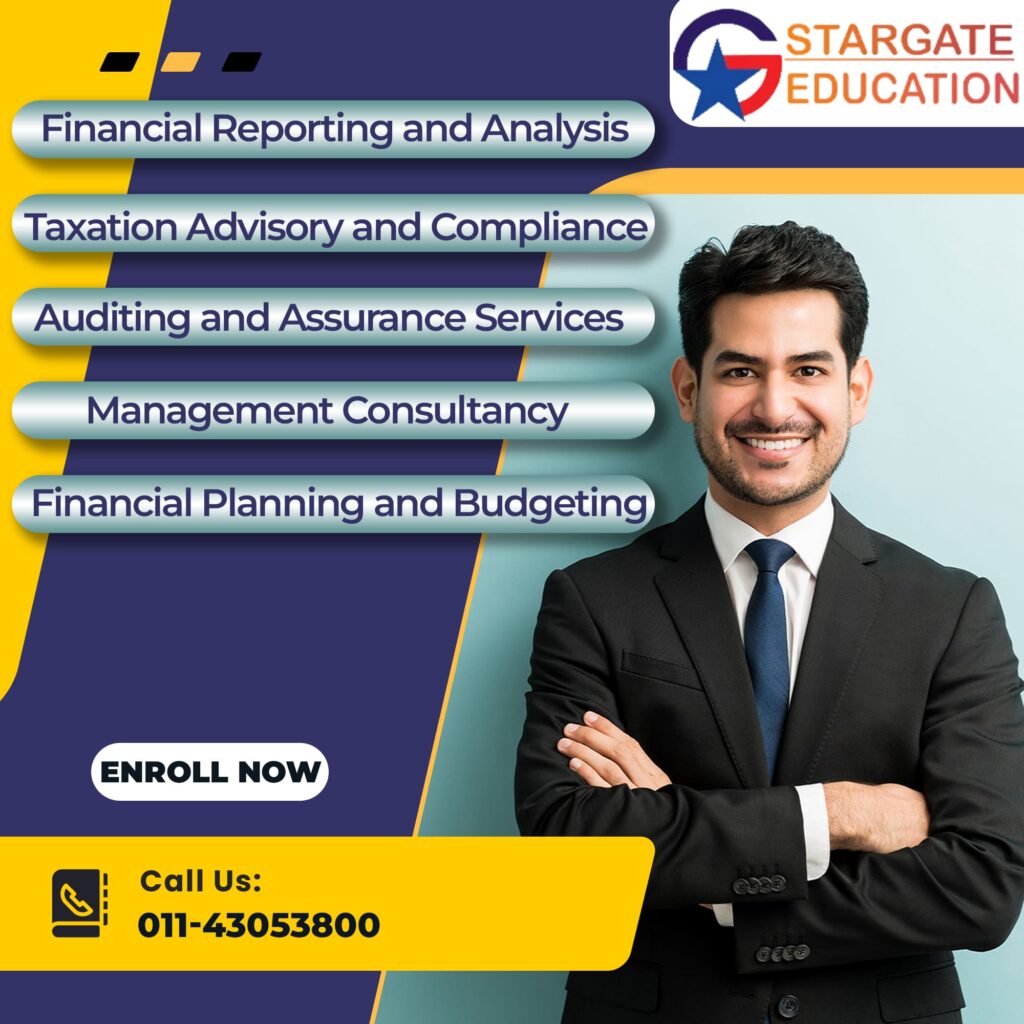What Does a Chartered Accountant Do? 1 What does a chartered Accountant do